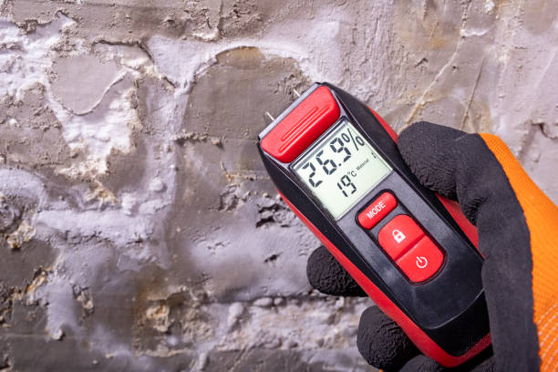Best Kitchen Mold Remediation in Union, MS